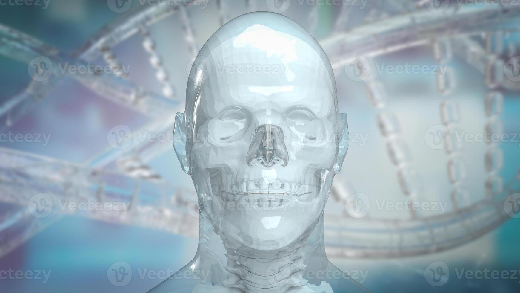 The human and skull for education or sci concept 3d rendering. photo