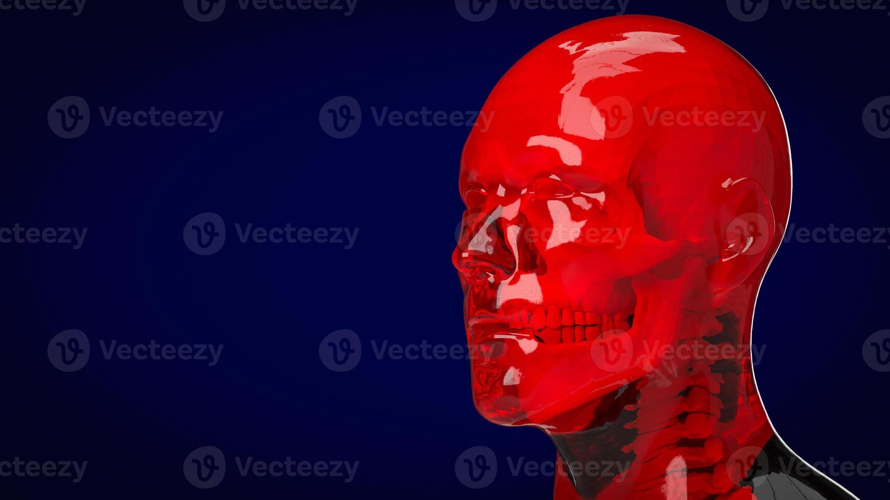 The human and skull for education or sci concept 3d rendering. photo