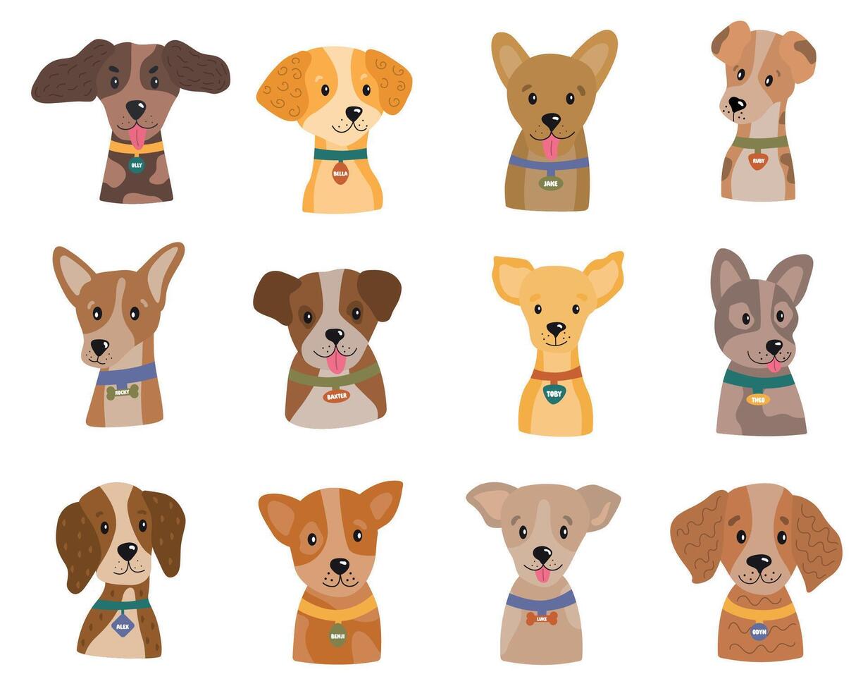 Dogs portraits of different breeds cute vector set. Diverse Dogs Faces collection in trendy flat style.