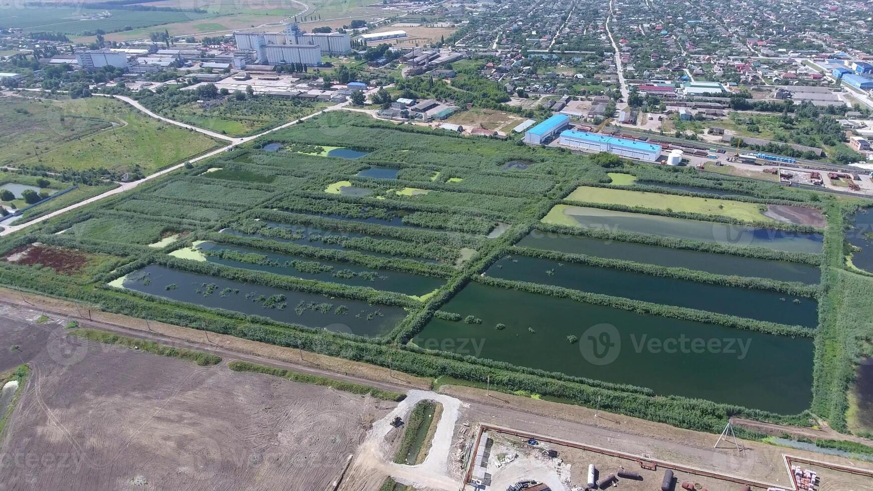 The sewage treatment plant in Slavyansk-on-Kuban. Water for sewage treatment in a small city. Bright reeds on the banks of water. photo