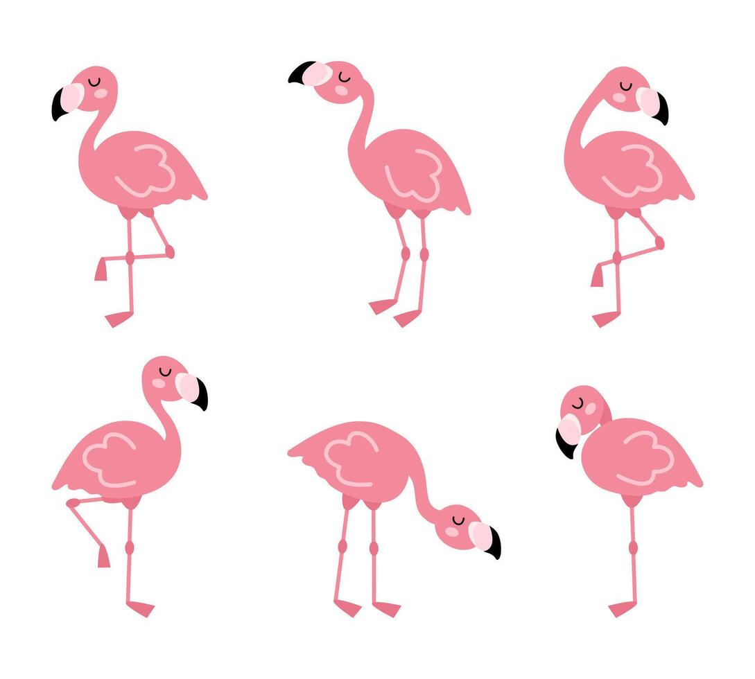 Cute cartoon pink flamingo set. Exotic birds in different poses. Vector illustration