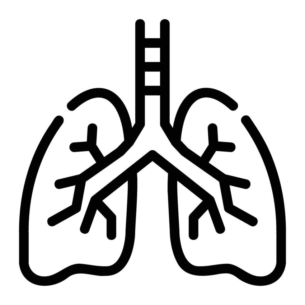 lungs Line Icon Background White vector