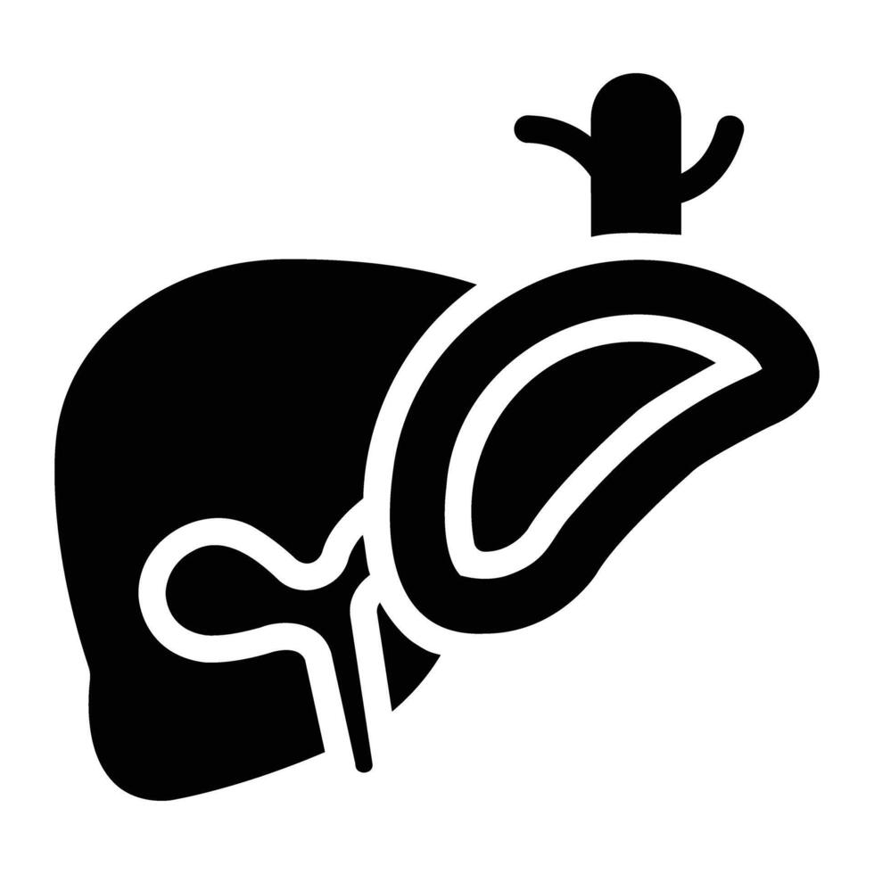 liver Glyph Icon Background White vector
