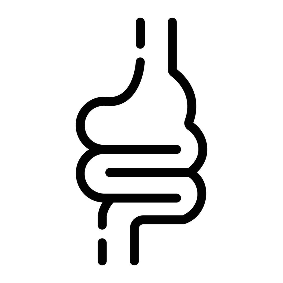 intestine Line Icon Background White vector