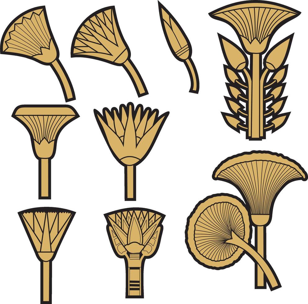 Vector gold and black set of ancient Egyptian signs and symbols. Lotus flower.