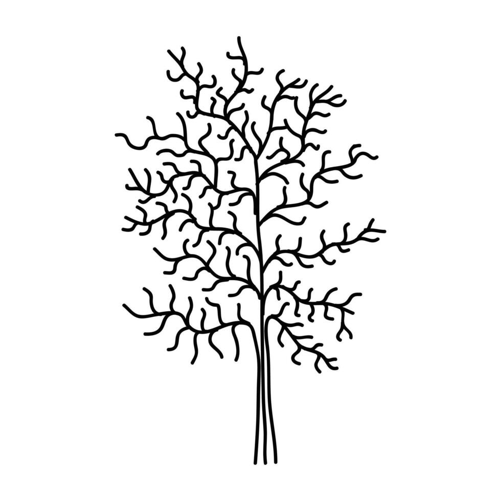 Hand Drawn Tree Outline, Tree Line Art Black and White Sketch Drawing vector