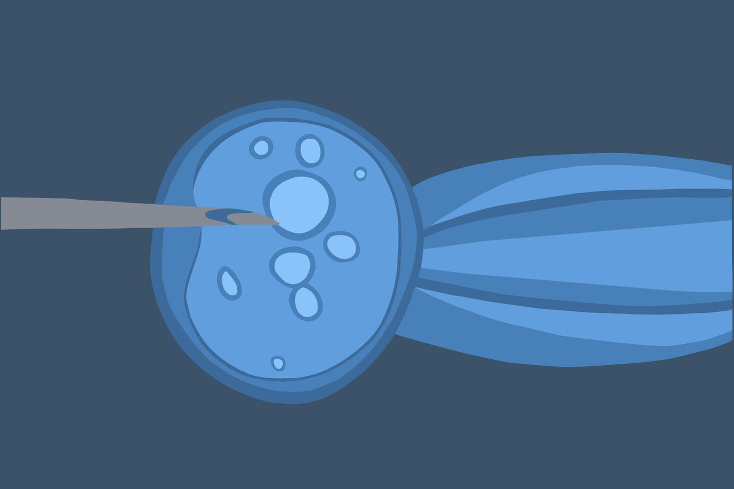 Vector isolated illustration of artificial insemination under a microscope. Donation of egg cells. Egg freezing.