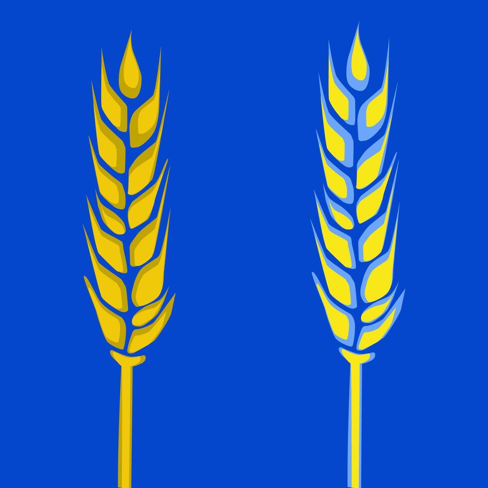 Vector illustration of two ears of wheat, one of which is blue-yellow in color, symbolizing the complexity of Ukraine's grain export.