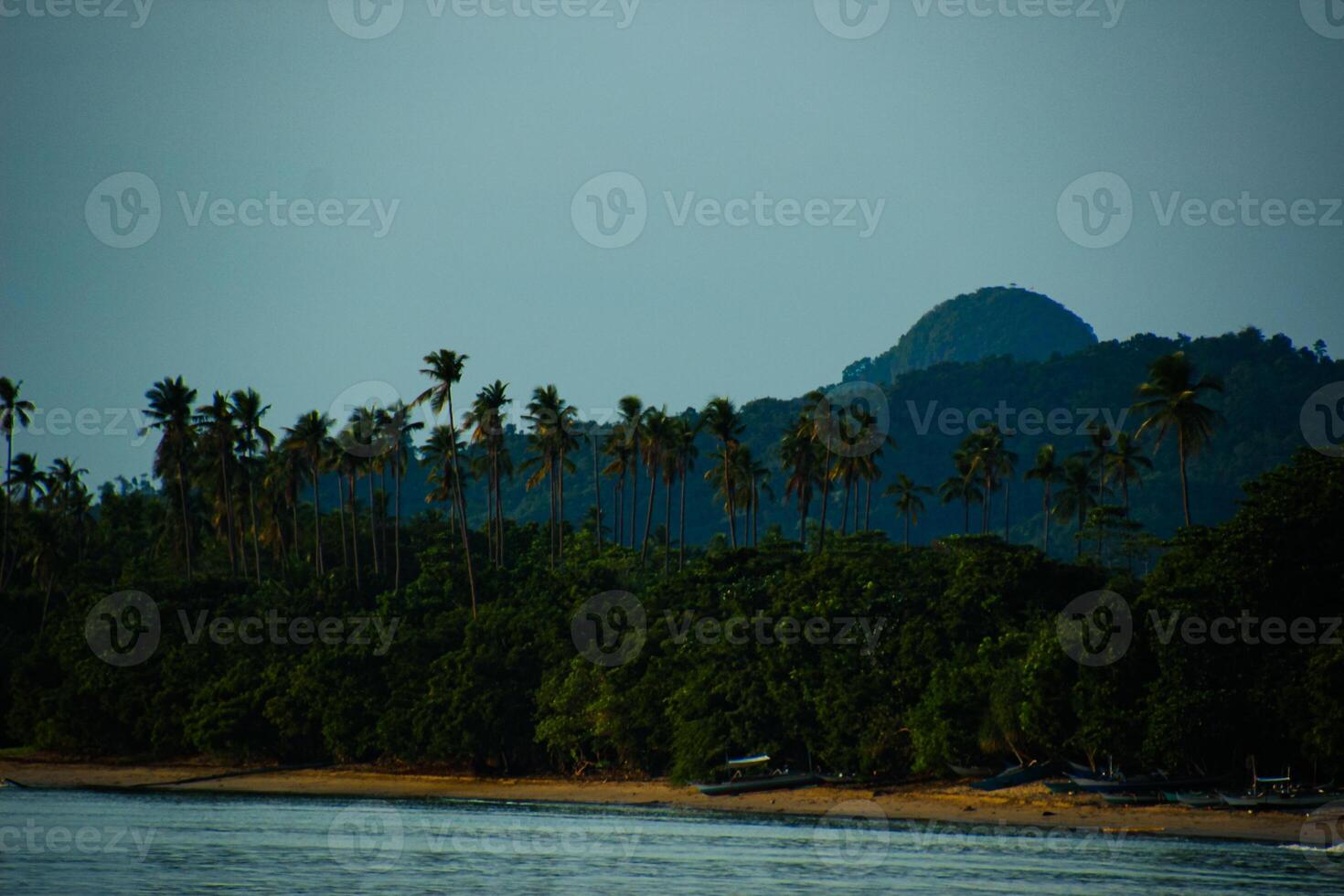 View of Nacpan Beach photo