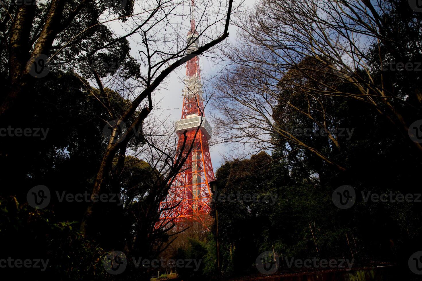 Tokyo Tower in March photo