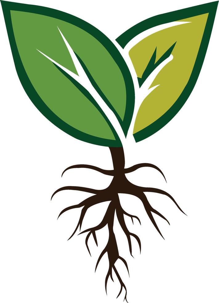 Rooted Leaf Logo vector