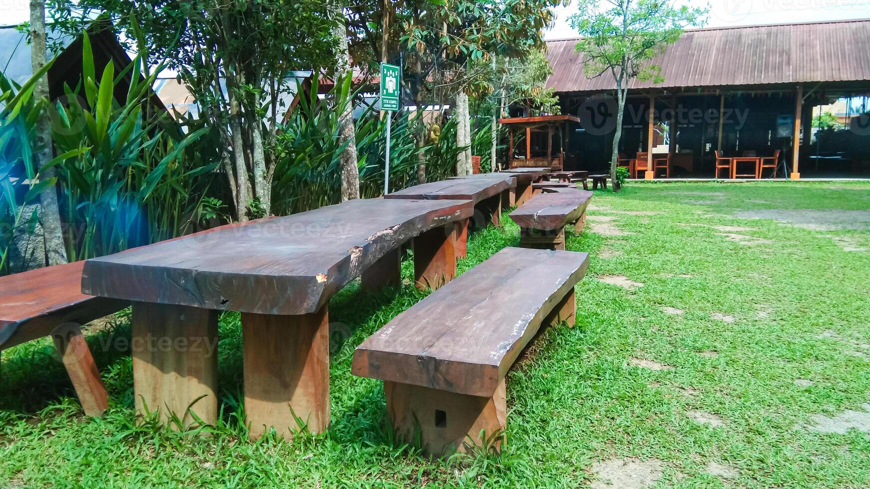 Garden chairs made from tree trunks photo