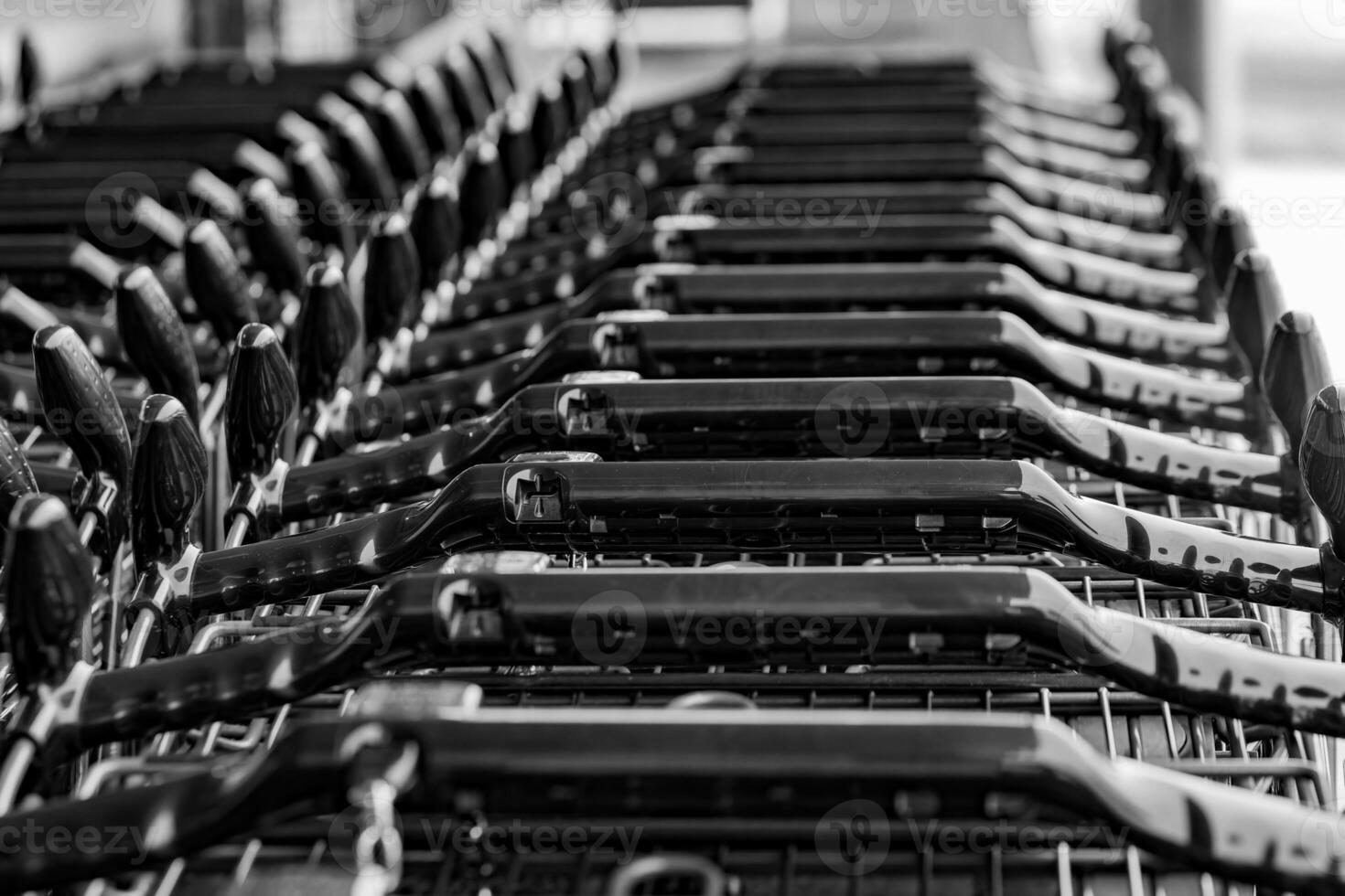 stacked shopping trolleys in selective focus photo