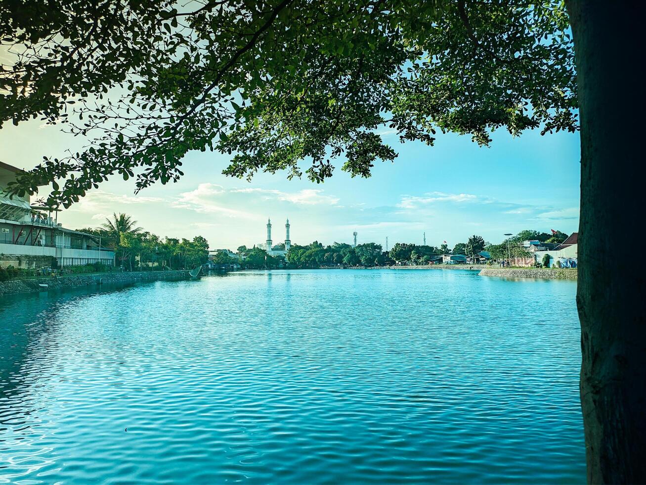 view of the lake in the afternoon under the trees photo