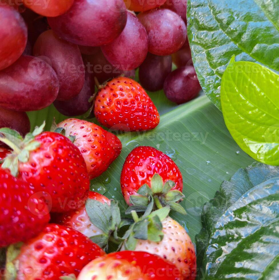 Image of strawberry grapes placed on leaves photo