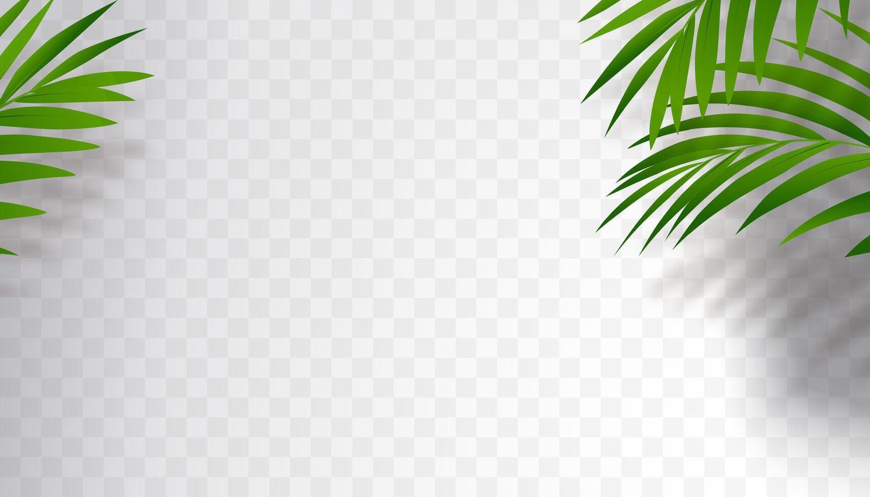 Leaves shadow silhouette,Abstract Branches Palm leaf shadow reflection,Tropical Leaf element for overlay on Mockup Product Presentation vector