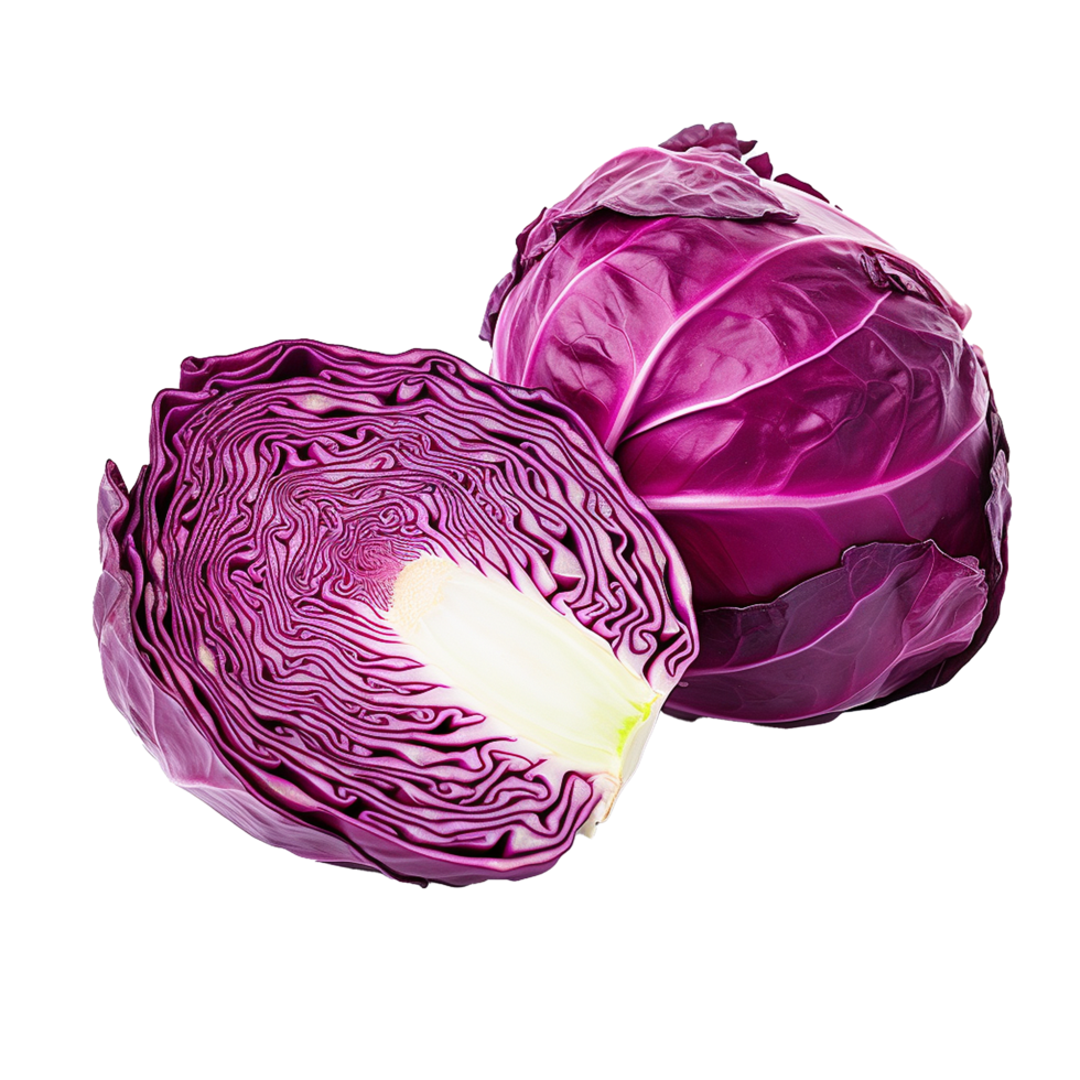 AI generated Fresh red cabbage png isolated on transparent background