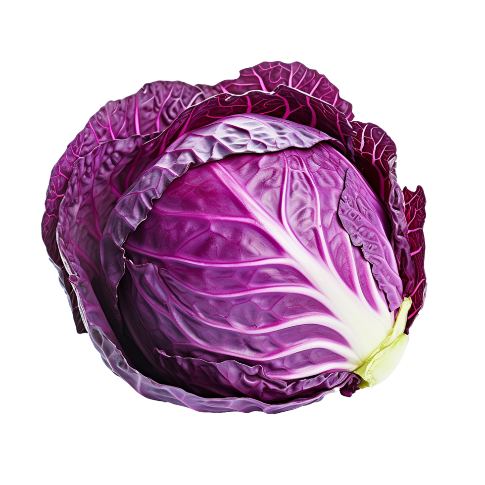 AI generated Fresh red cabbage png isolated on transparent background