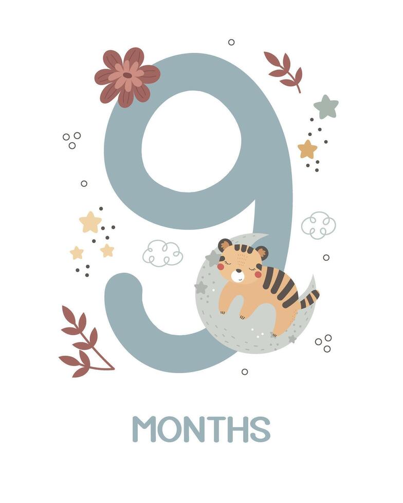 Baby milestone card. Cartoon tiger, number, hand drawing lettering, decor elements. Colorful vector illustration, flat style. design for greeting cards, print, poster