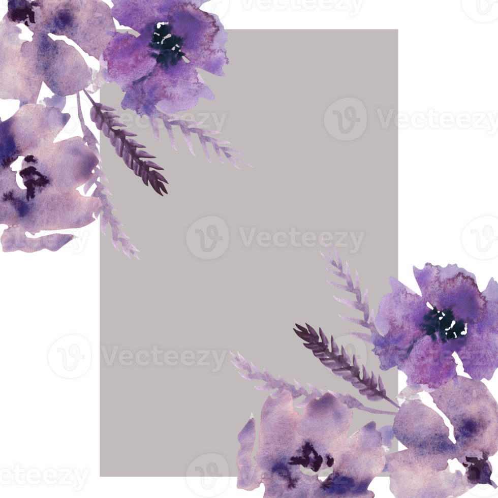acquerello viola fiori clipart. floreale clip arte. fatto a mano illustrazione per saluto carte, sfondo, Stazionario, tessuto, nozze carta. fiore telaio. png