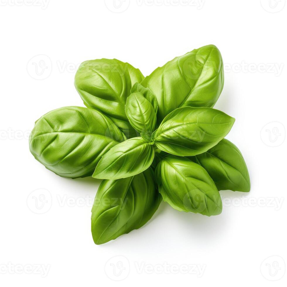 AI generated Fresh basil leaves isolated on a white background, perfect for culinary designs, Ai Generated. photo