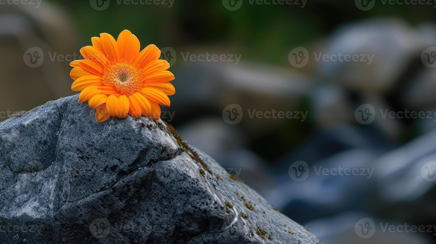 AI generated A solitary flower blooms amidst rugged rocks, nature's resilient beauty in harsh terrain, Ai Generated photo