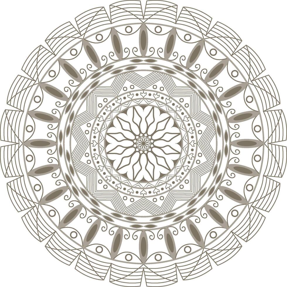 A circular mandala design with a floral pattern vector
