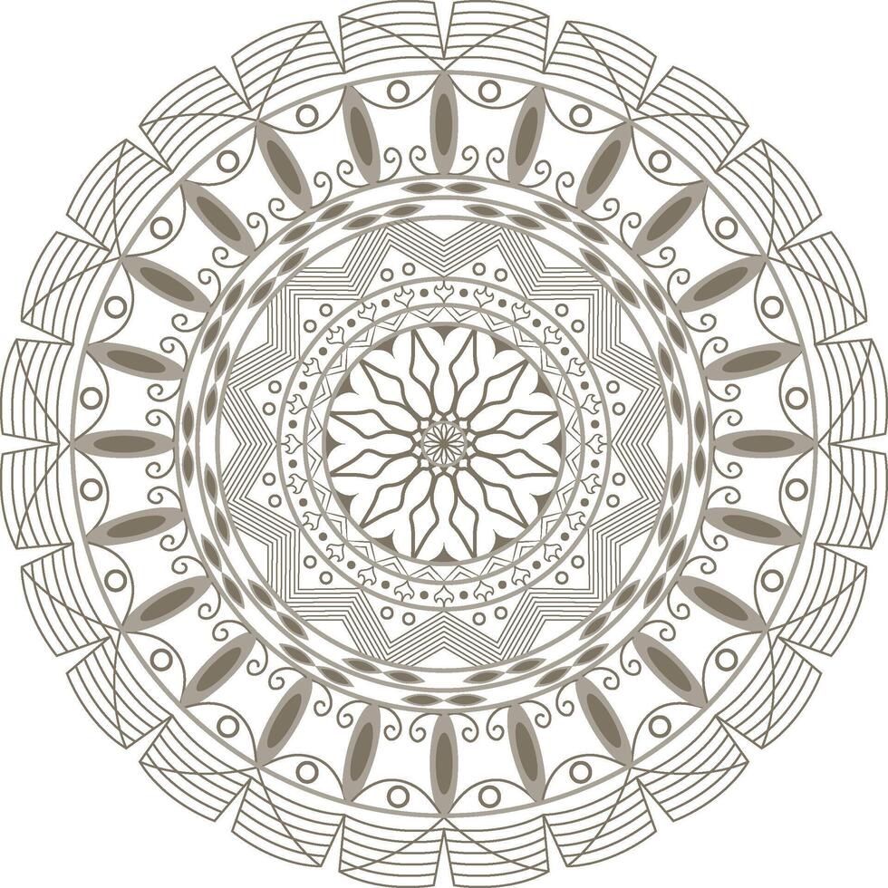 A circular mandala design with a floral pattern vector