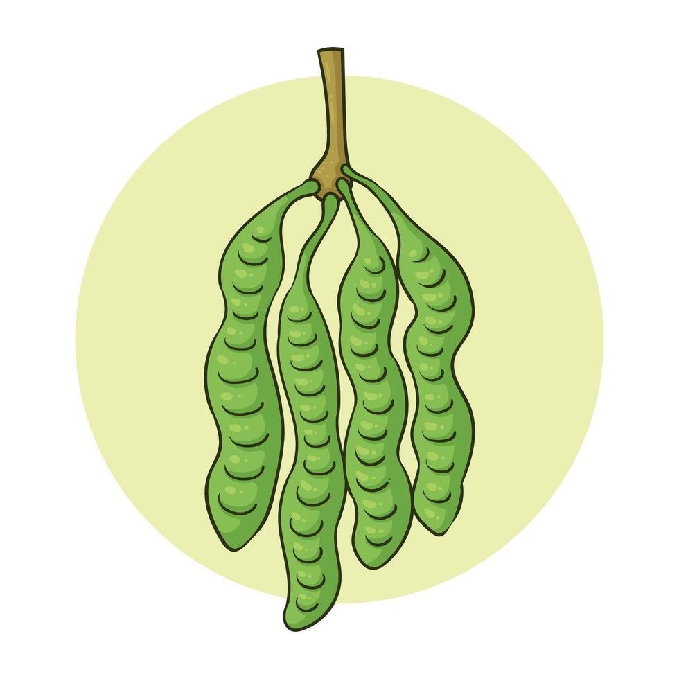 hand drawn green petai vector