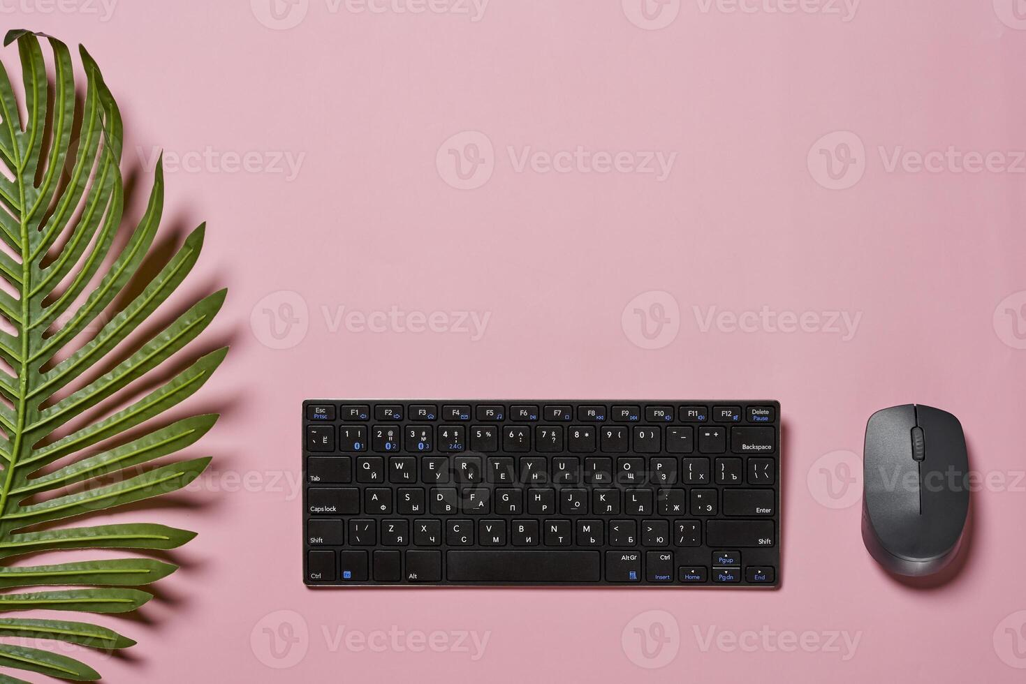 top view of a keyboard and mouse on a pink background with palm leaves photo