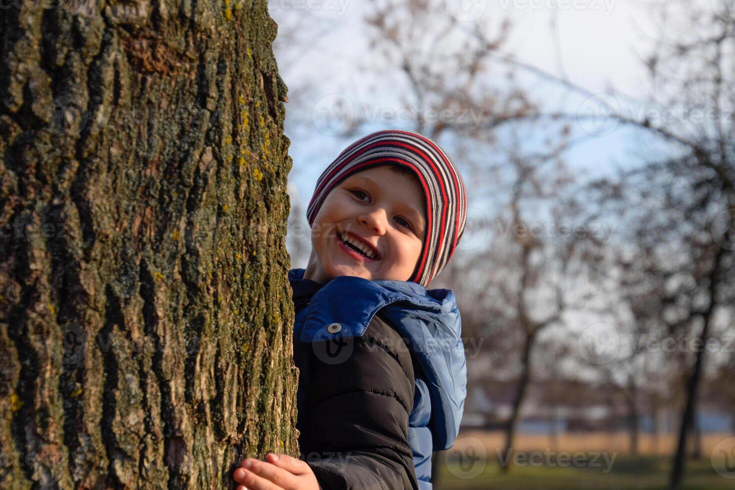 little boy is hiding behind a big tree. A child peeks out from behind a tree trunk. photo