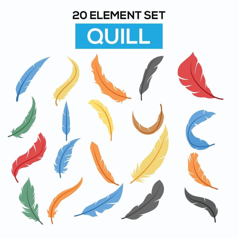 bird feather illustration set elements vector