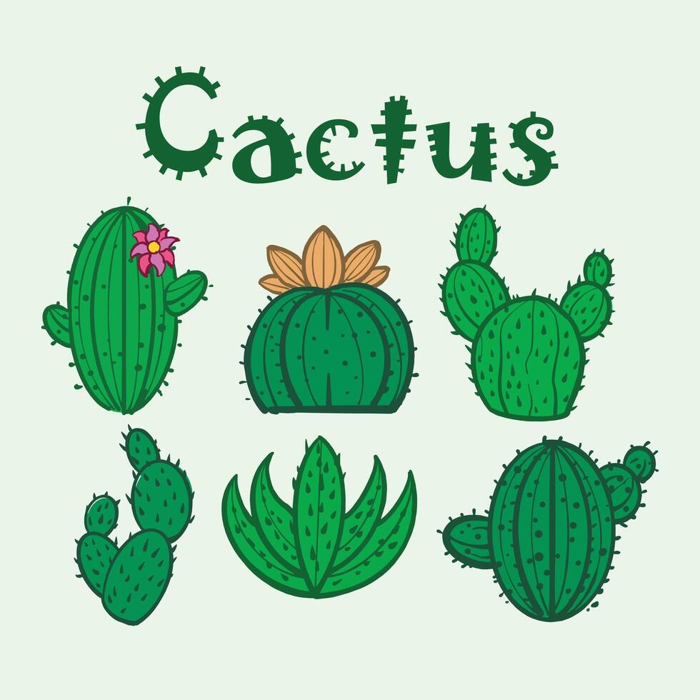 flat cactus plant bundle vector