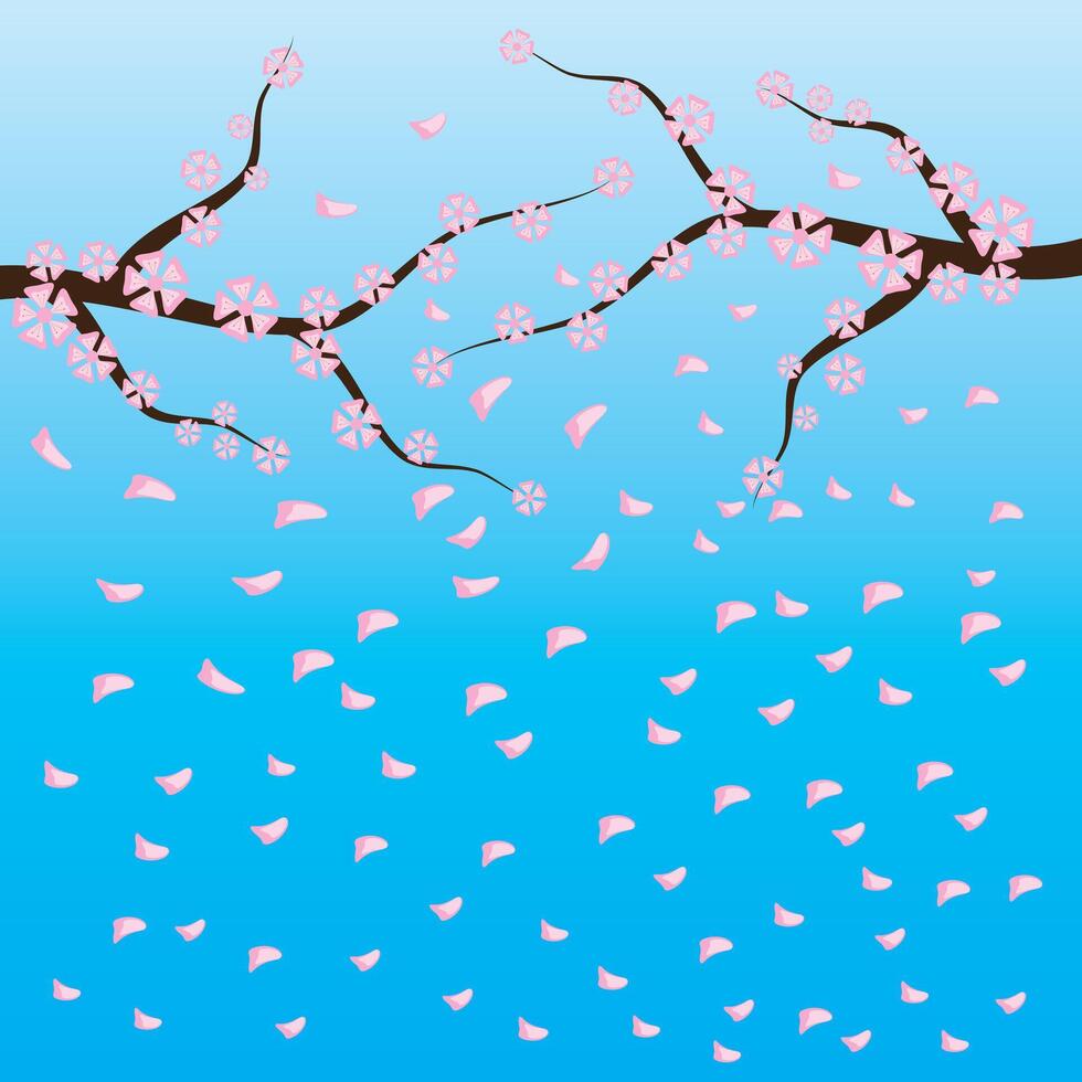 Cherry blossoms, spring flower garden vector illustration on blue background ,Japanese sakura flowers