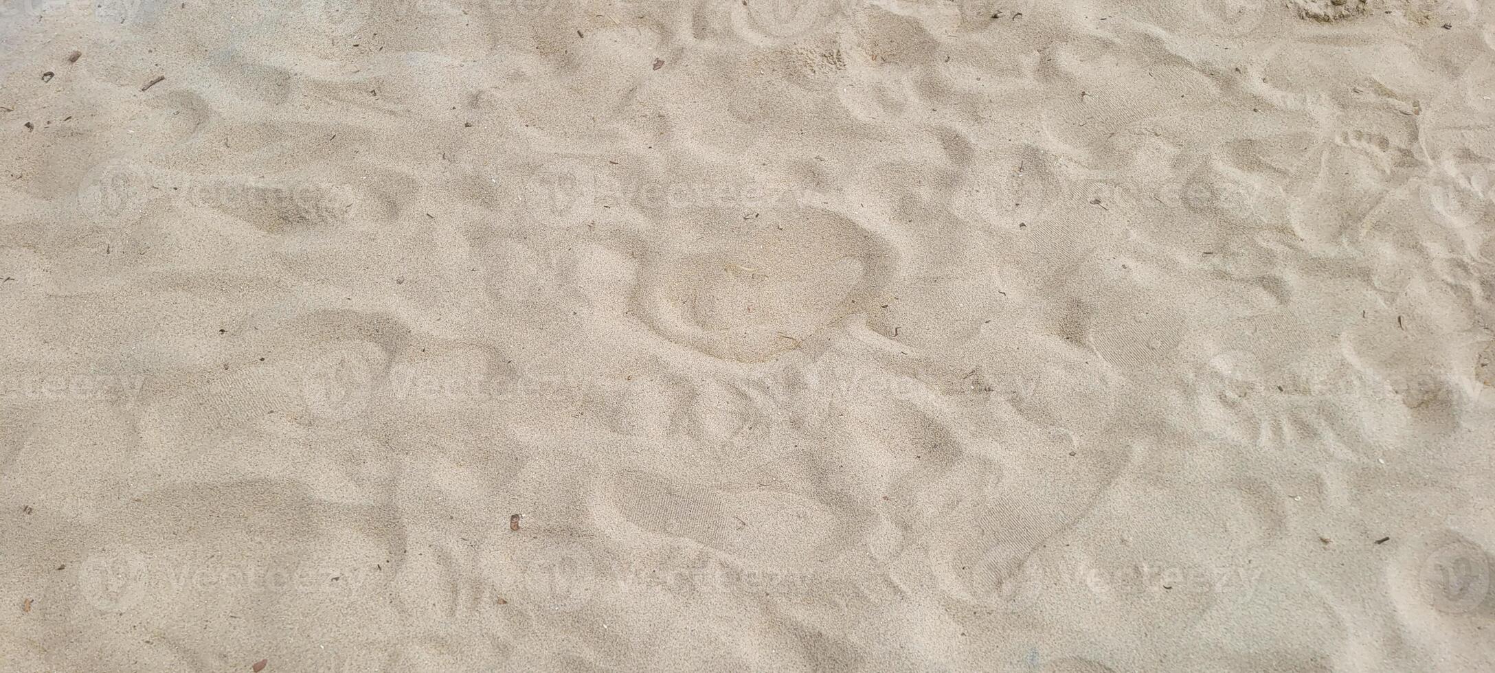image of white sand beach on the coast of Brazil on a sunny photo