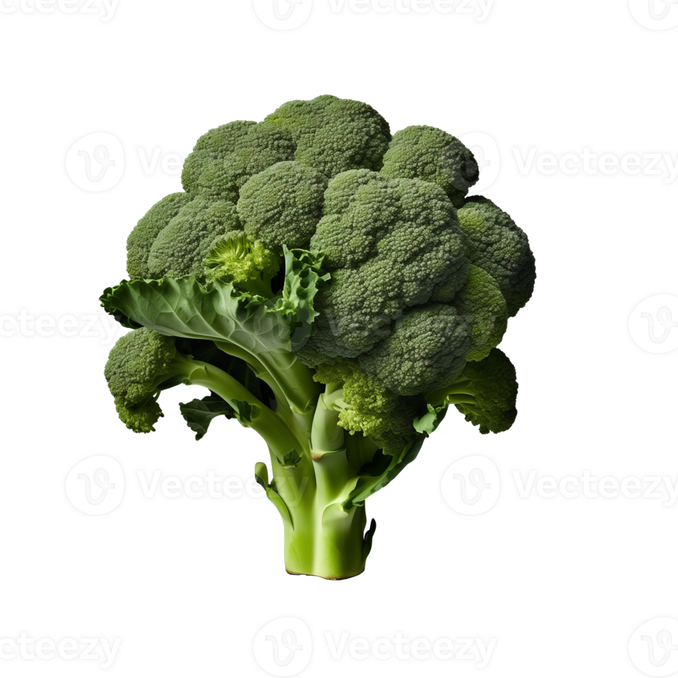 AI generated Broccolis isolated on a transparent background. png