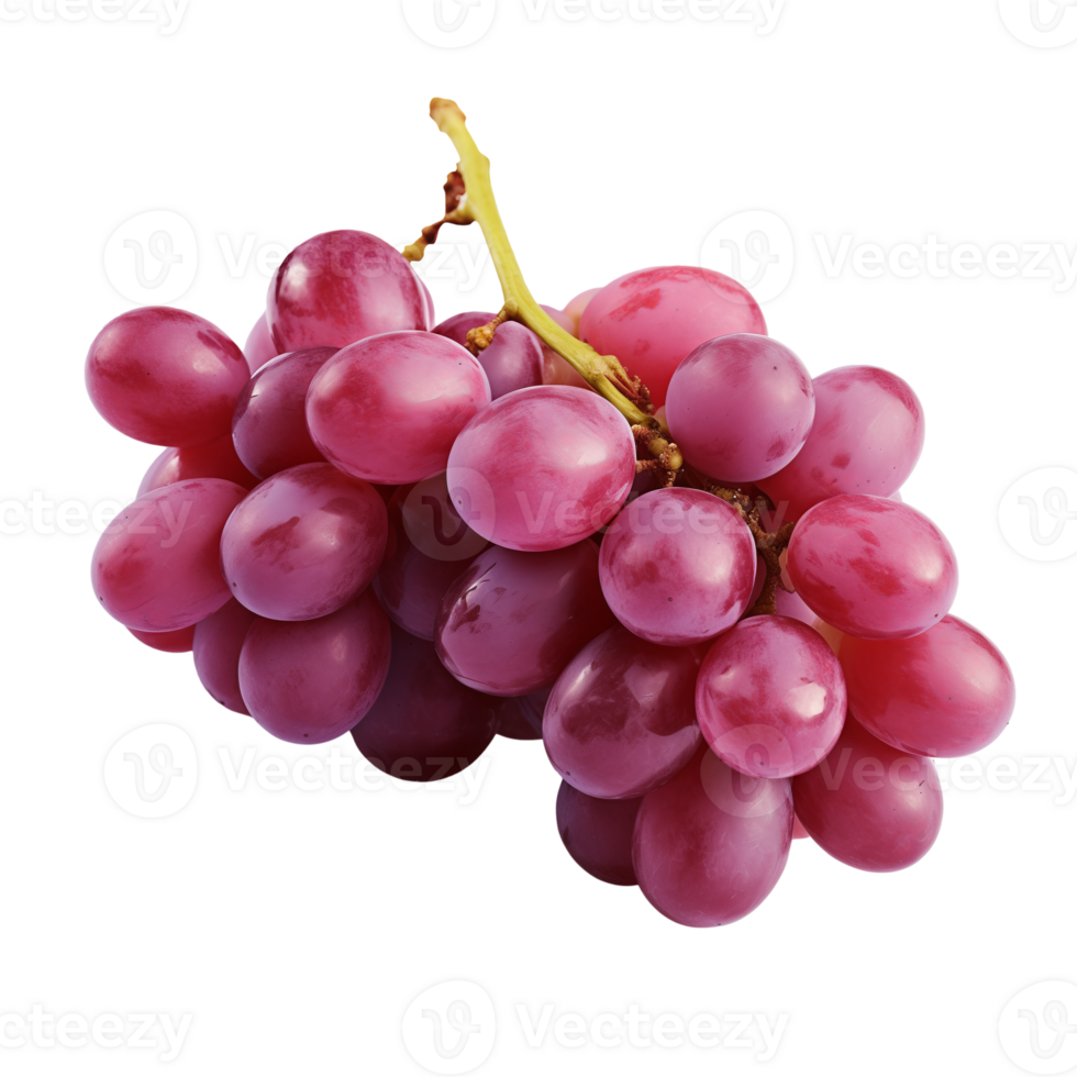 AI generated Grapes isolated on a transparent background. png