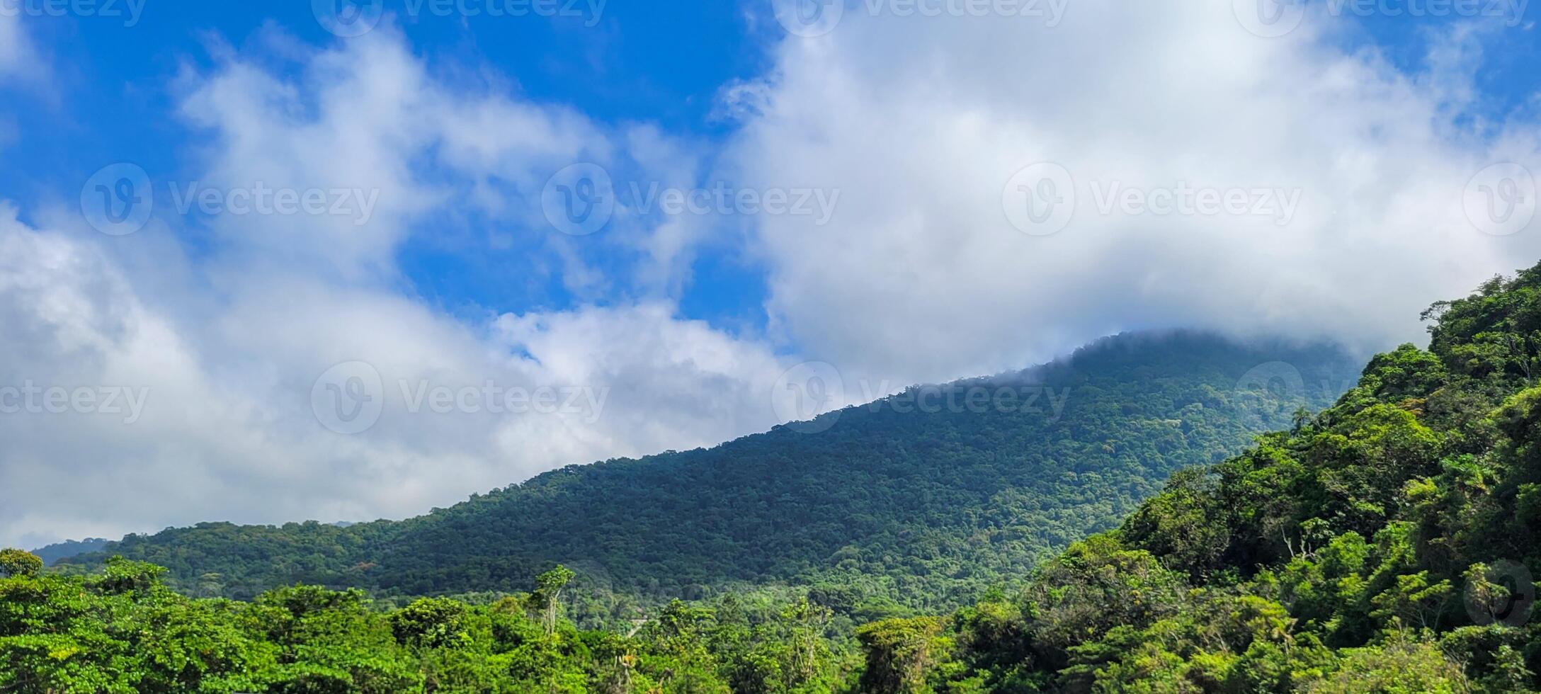 forest shrouded in fog on a mountain in ubatuba, north coast of brazil photo