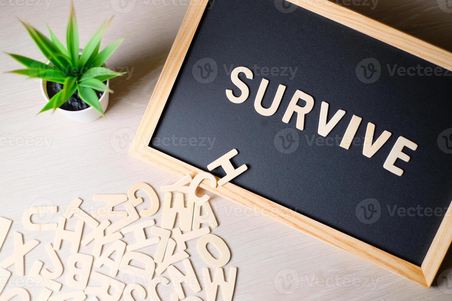 Wooden letters SURVIVE on the blackboard. photo