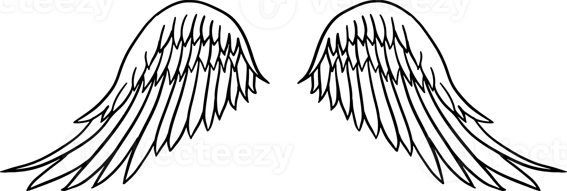The wing drawing for tattoo or decoration concept. png