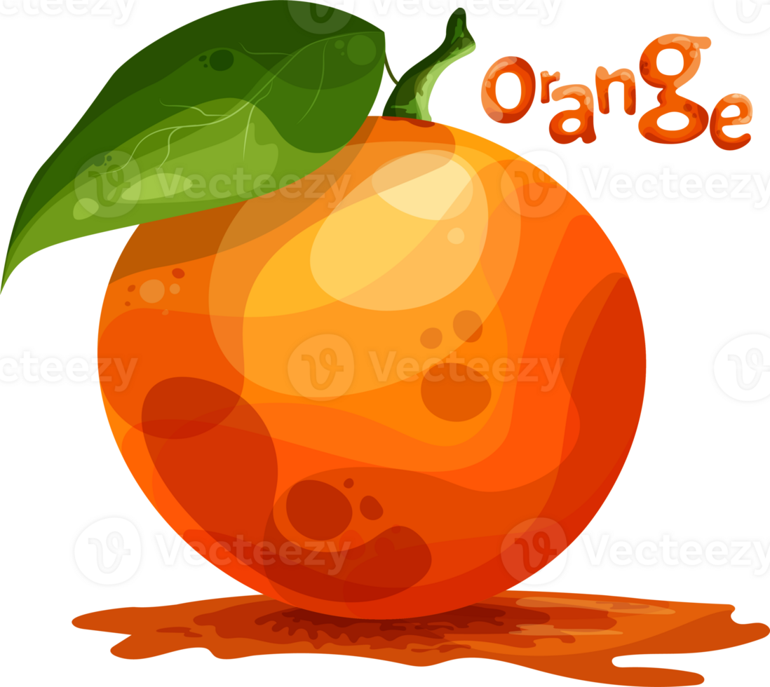 the isolated orange with a green leaf in flat style png