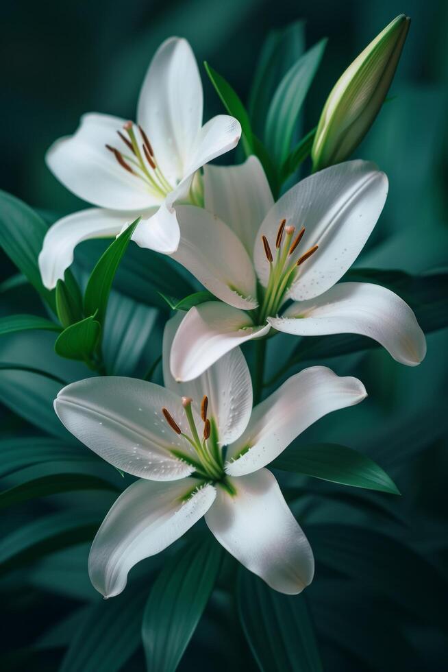 AI generated Pristine white lilies resting upon emerald leaves photo