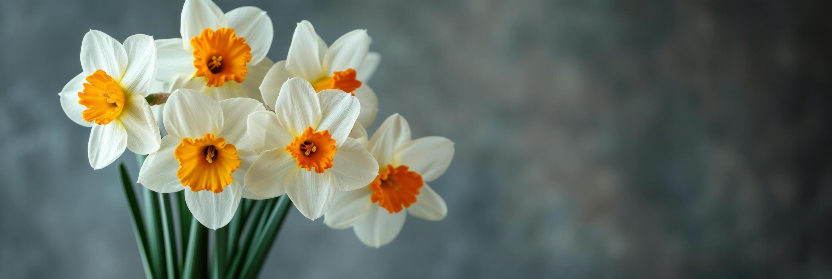 AI generated White-yellow daffodils arranged in a small vase against the backdrop of a hotel room photo