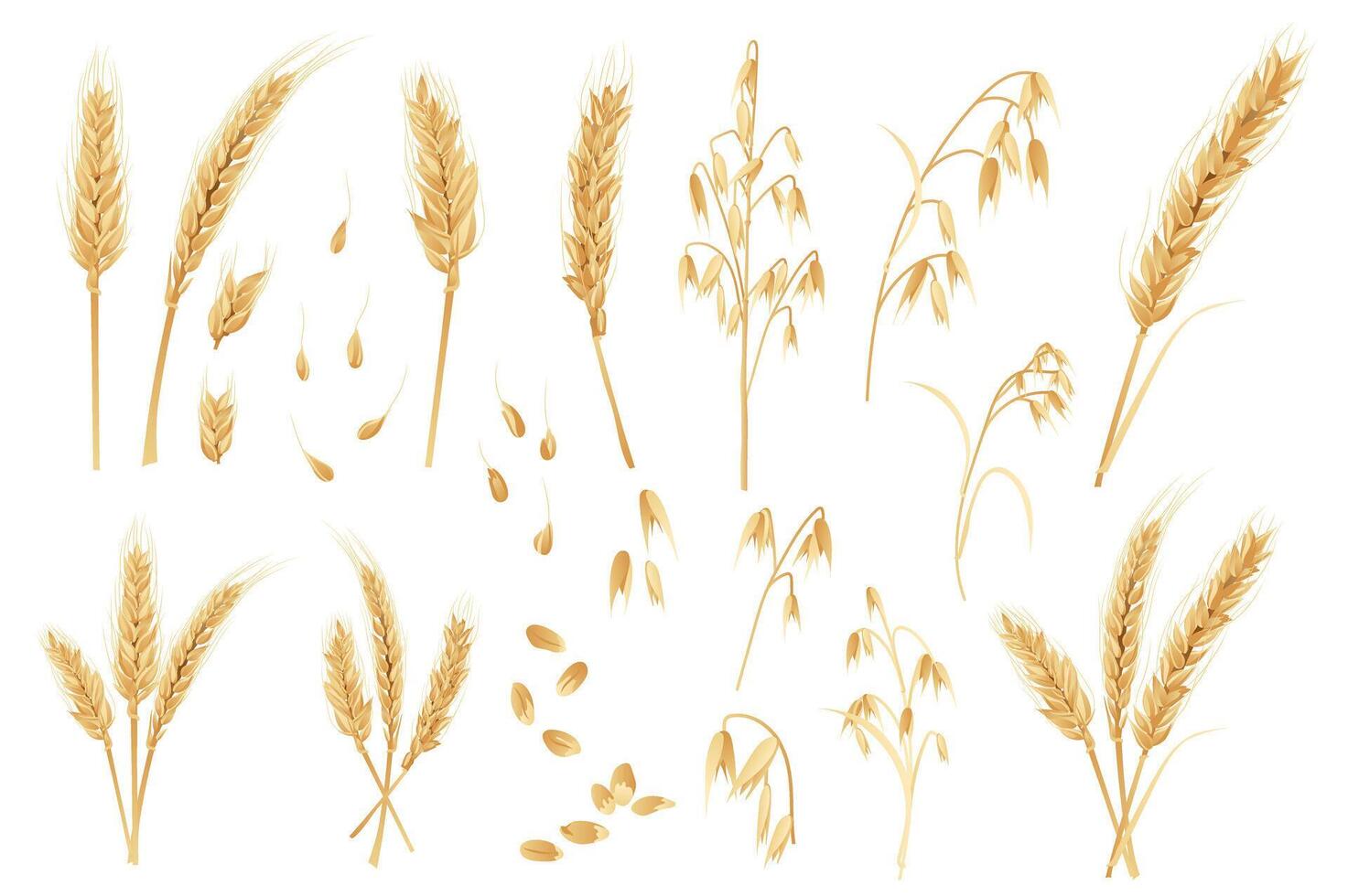 Oats and wheat mega set in flat design. Bundle elements of gold cereal plants, ripe ears with grains. Agriculture crop and ingredient for bakery products. Vector illustration isolated graphic objects