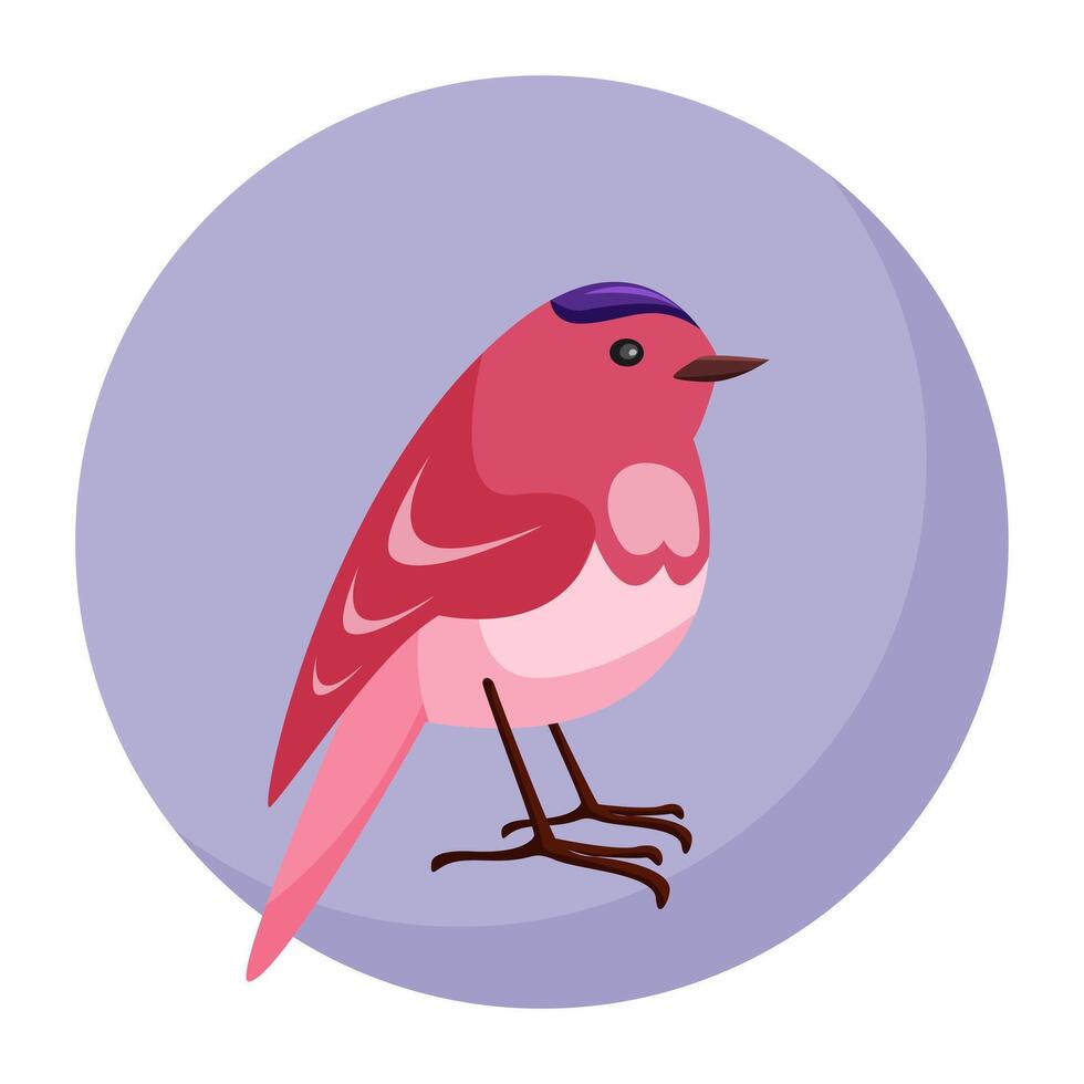 The design of pink little bird in the cartoon style. Bird on blue background from circle for the design of layouts, cards and infographics. Minimalistic spring composition. vector