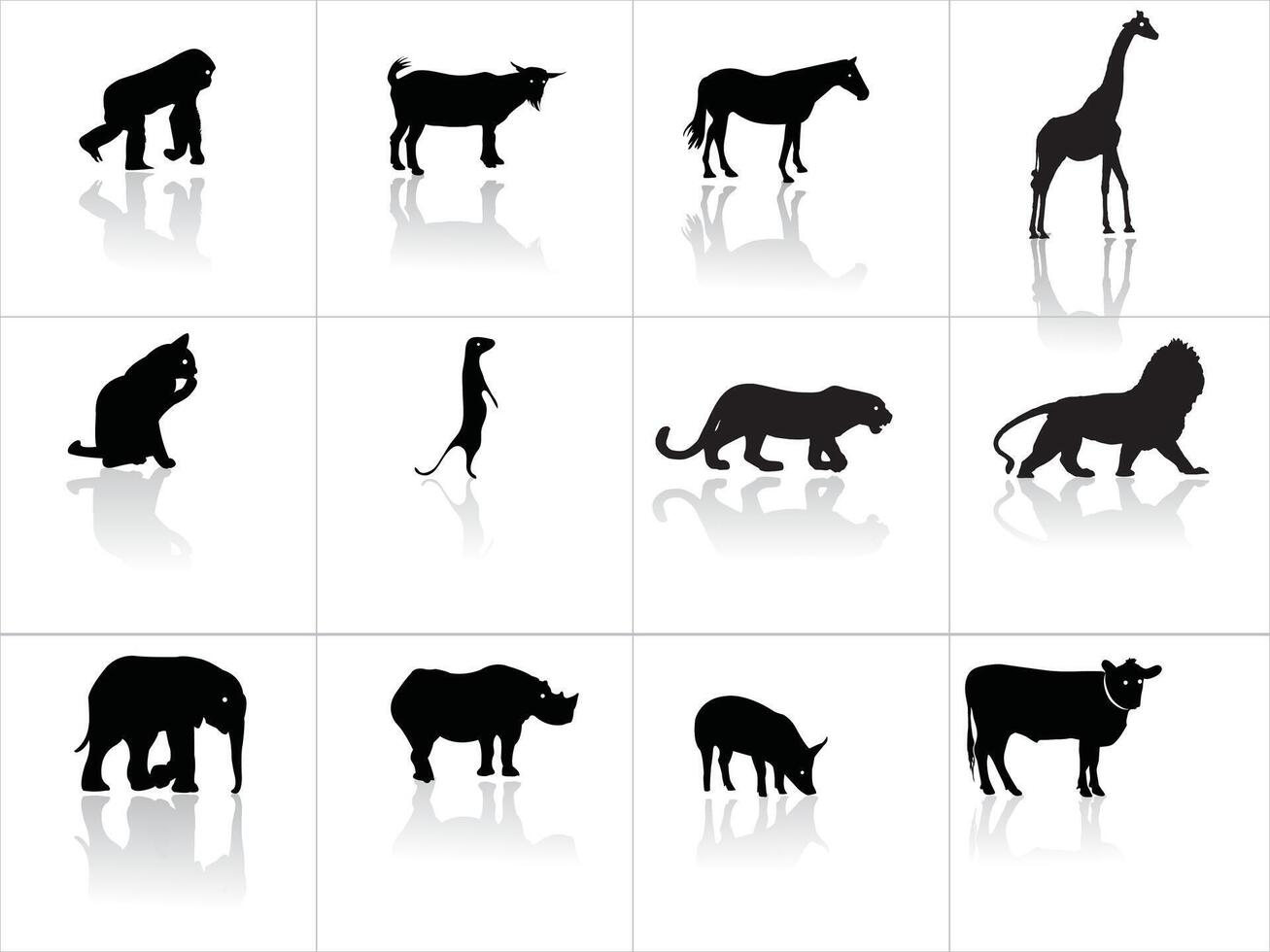 Zoo animals collection, vector silhouettes. wild animal with shadow. looks like it's on the floor