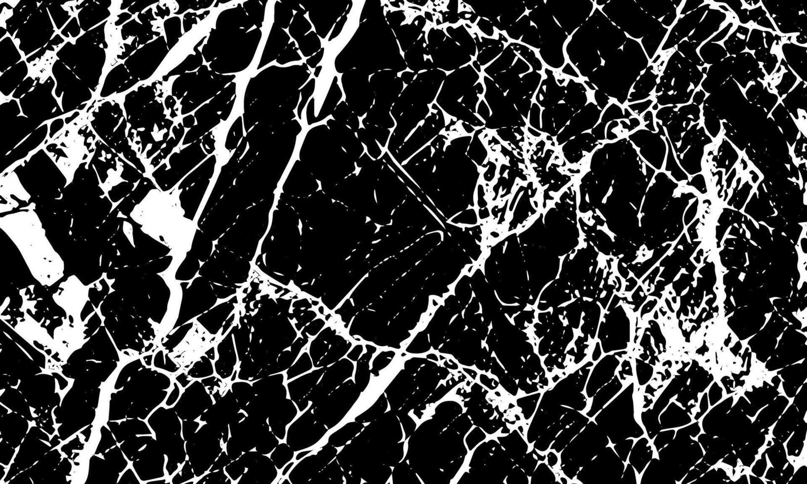black and white marble texture background vector