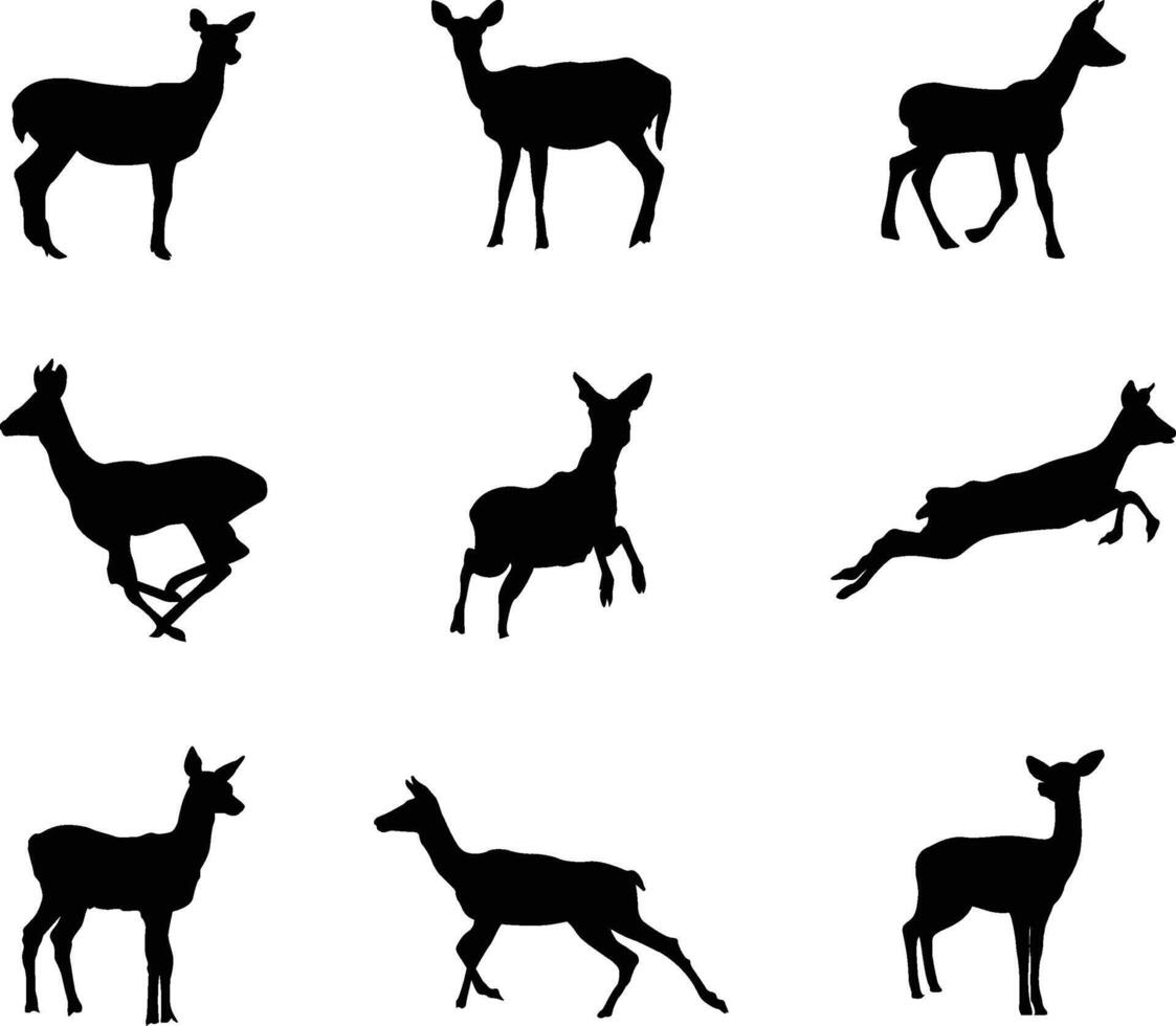A vector collection of Deers for artwork compositions