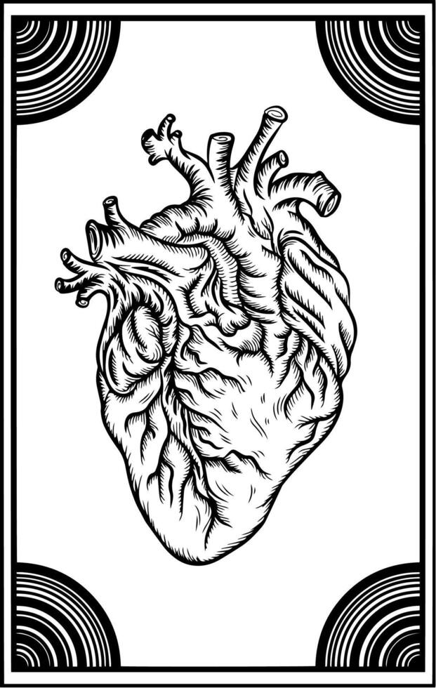 line art detailing drawing of heart vector