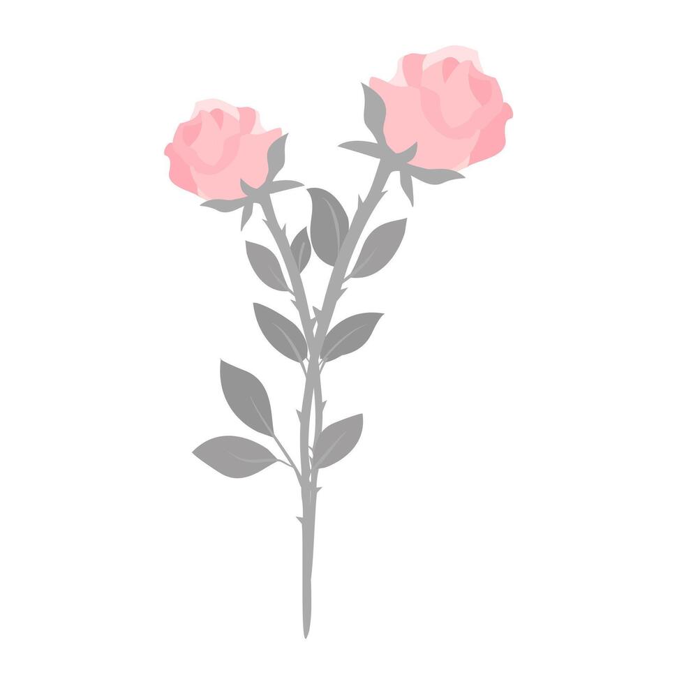 Valentine pink rose flower isolated on background vector